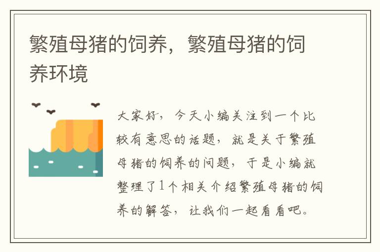 繁殖母猪的饲养，繁殖母猪的饲养环境