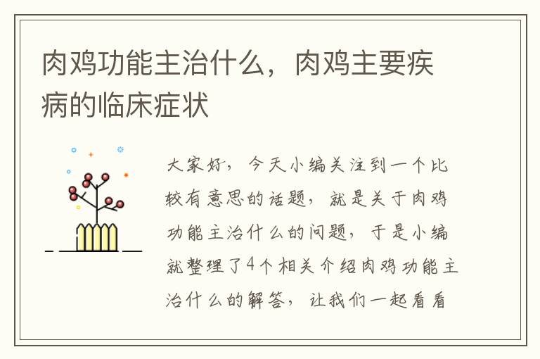 肉鸡功能主治什么，肉鸡主要疾病的临床症状