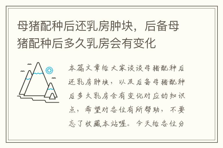 母猪配种后还乳房肿块，后备母猪配种后多久乳房会有变化