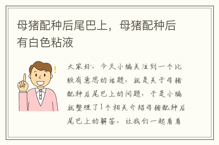 母猪配种后尾巴上，母猪配种后有白色粘液