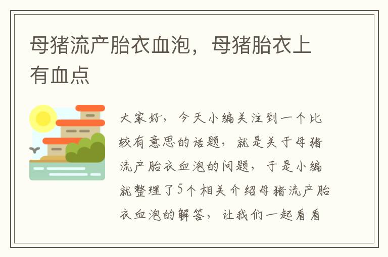 母猪流产胎衣血泡，母猪胎衣上有血点