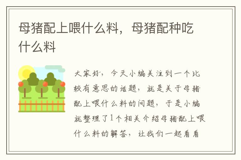 母猪配上喂什么料，母猪配种吃什么料