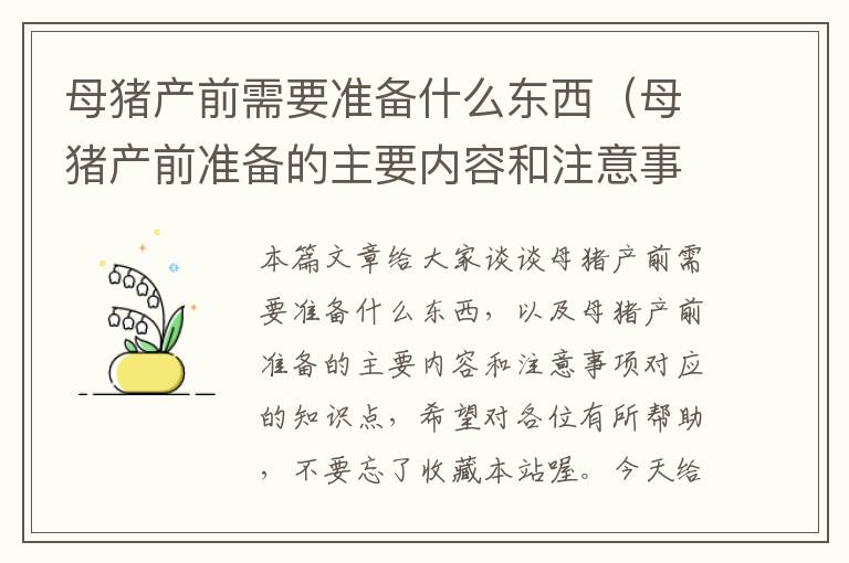 母猪产前需要准备什么东西（母猪产前准备的主要内容和注意事项）