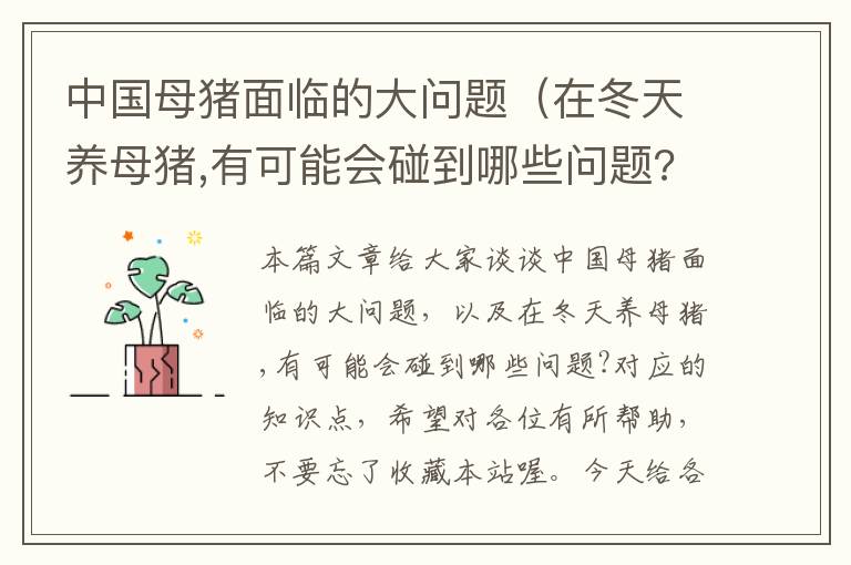 中国母猪面临的大问题（在冬天养母猪,有可能会碰到哪些问题?）