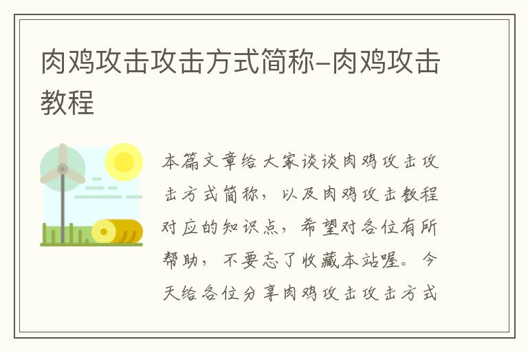 肉鸡攻击攻击方式简称-肉鸡攻击教程