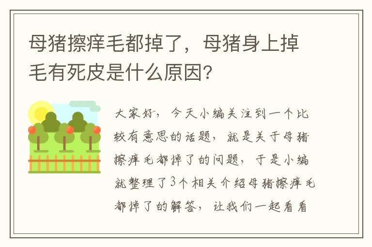 母猪擦痒毛都掉了，母猪身上掉毛有死皮是什么原因?