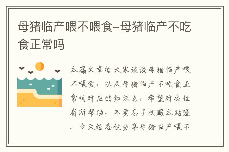 母猪临产喂不喂食-母猪临产不吃食正常吗