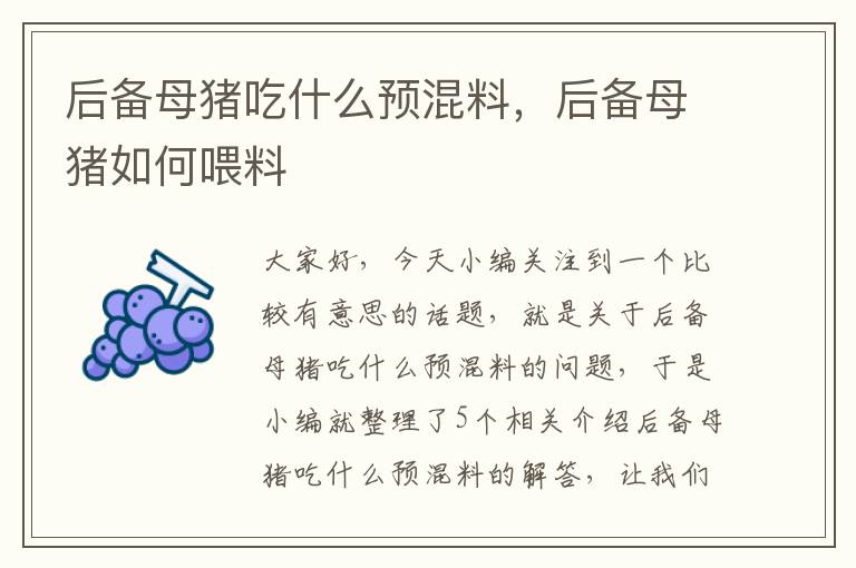 后备母猪吃什么预混料，后备母猪如何喂料