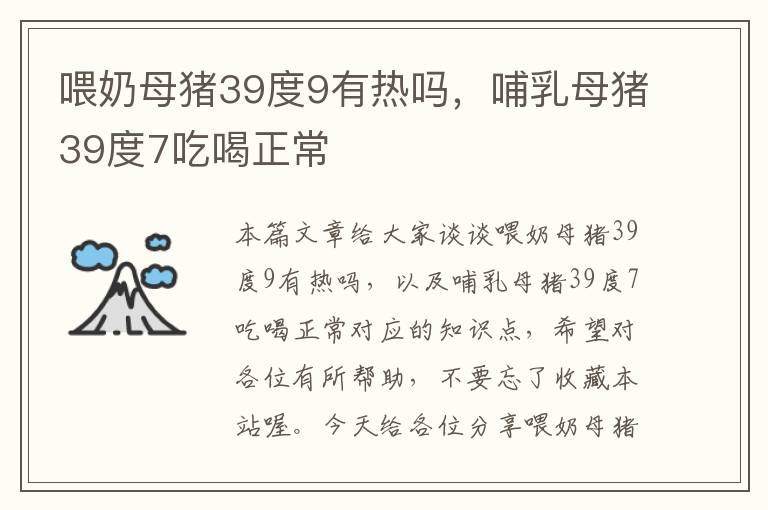 喂奶母猪39度9有热吗，哺乳母猪39度7吃喝正常