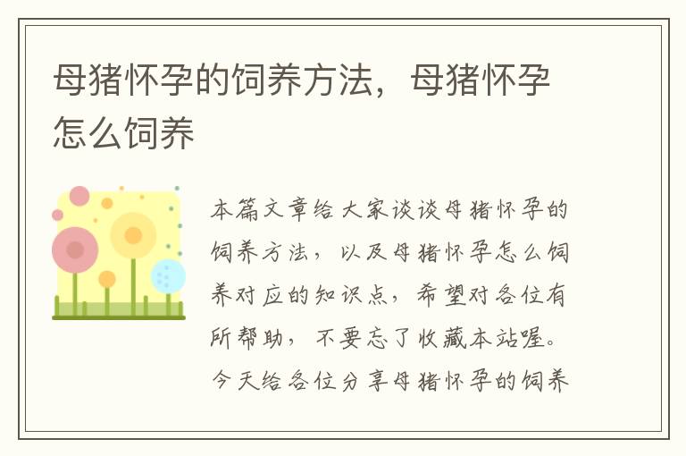 母猪怀孕的饲养方法，母猪怀孕怎么饲养