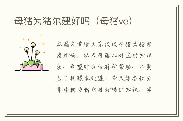 母猪为猪尔建好吗（母猪ve）