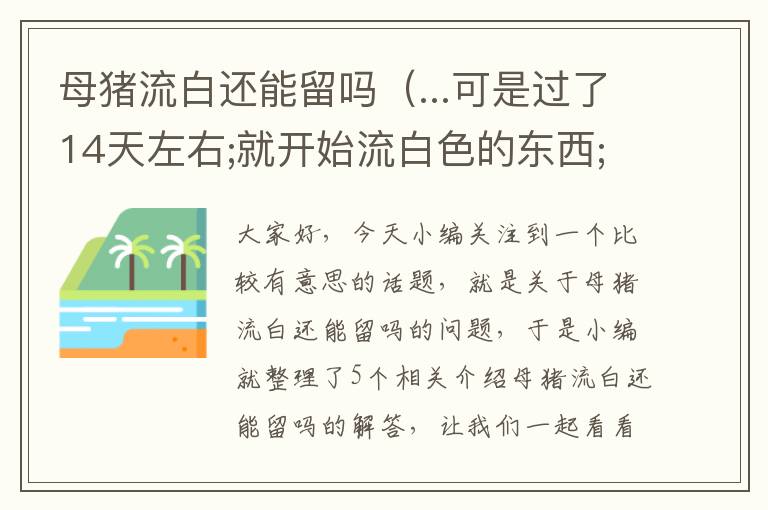 母猪流白还能留吗（...可是过了14天左右;就开始流白色的东西;留了8天左右;基本结束;这...）