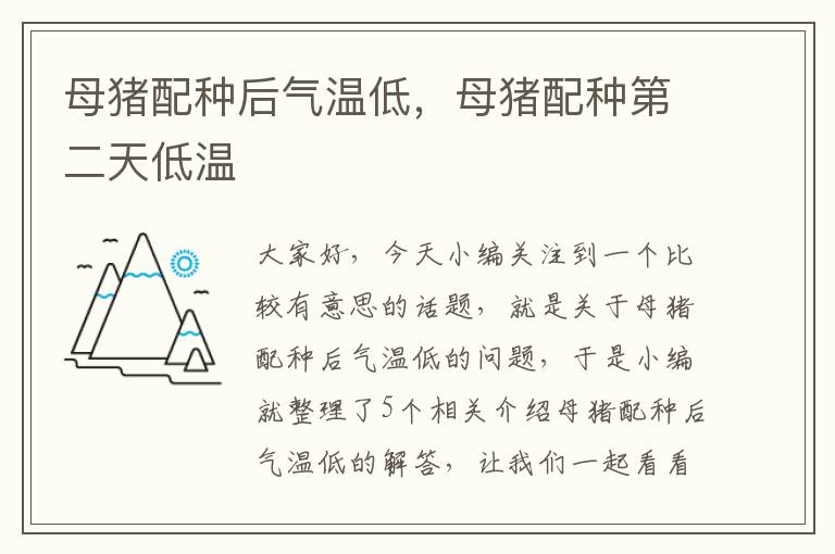 母猪配种后气温低，母猪配种第二天低温