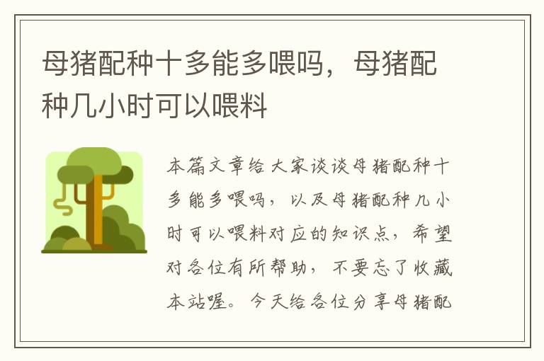 母猪配种十多能多喂吗，母猪配种几小时可以喂料