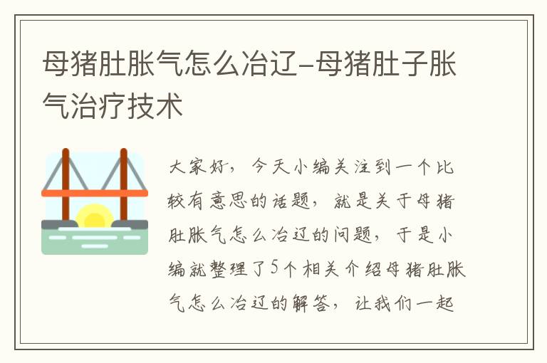 母猪肚胀气怎么冶辽-母猪肚子胀气治疗技术