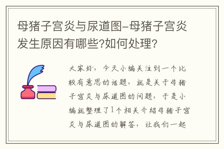 母猪子宫炎与尿道图-母猪子宫炎发生原因有哪些?如何处理?