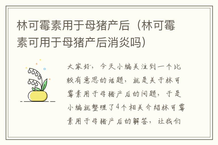 林可霉素用于母猪产后（林可霉素可用于母猪产后消炎吗）