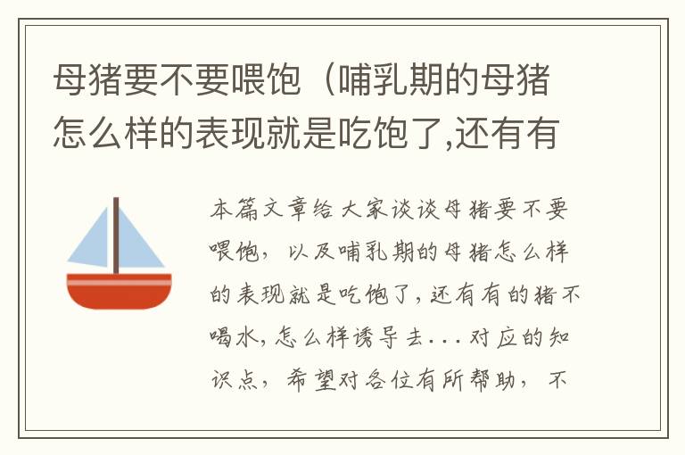 母猪要不要喂饱（哺乳期的母猪怎么样的表现就是吃饱了,还有有的猪不喝水,怎么样诱导去...）