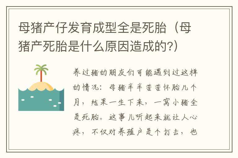 母猪产仔发育成型全是死胎（母猪产死胎是什么原因造成的?）