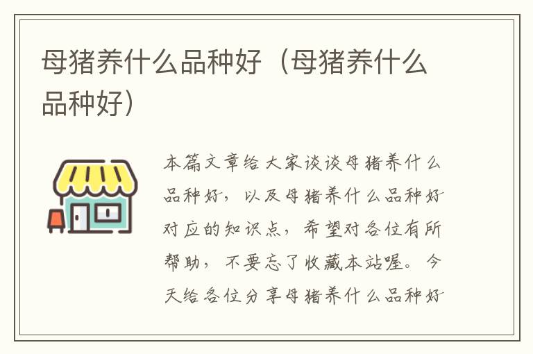 母猪养什么品种好（母猪养什么品种好）