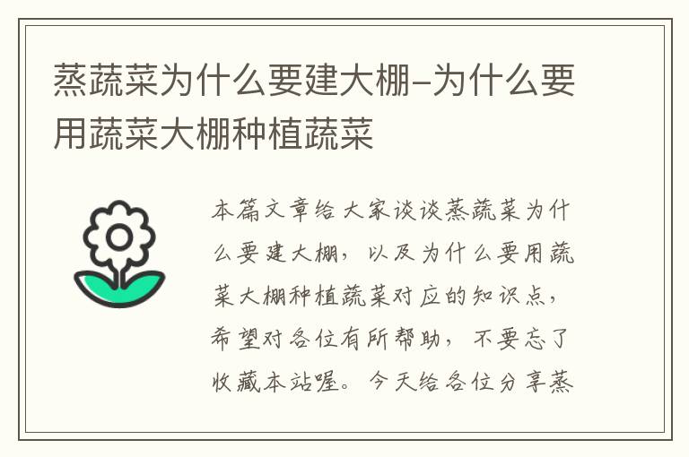 蒸蔬菜为什么要建大棚-为什么要用蔬菜大棚种植蔬菜