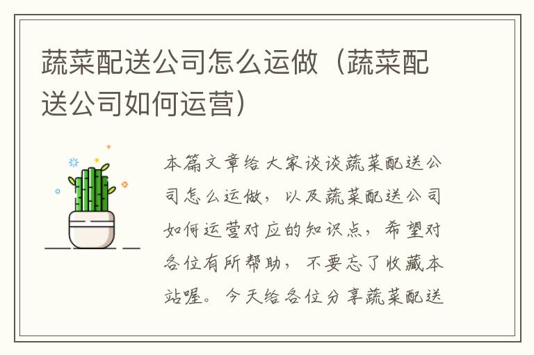 蔬菜配送公司怎么运做（蔬菜配送公司如何运营）